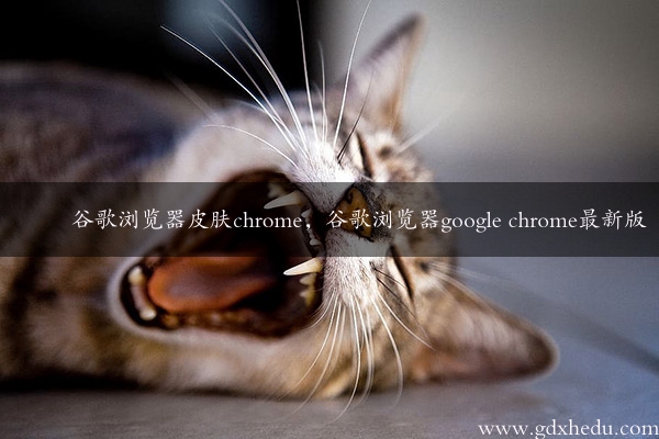 谷歌浏览器皮肤chrome，谷歌浏览器google chrome最新版