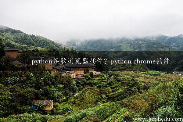 python谷歌浏览器插件？python chrome插件