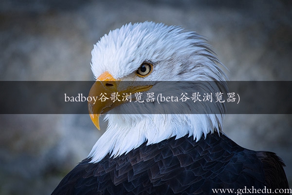 badboy谷歌浏览器(beta谷歌浏览器)