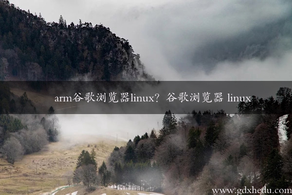 arm谷歌浏览器linux？谷歌浏览器 linux