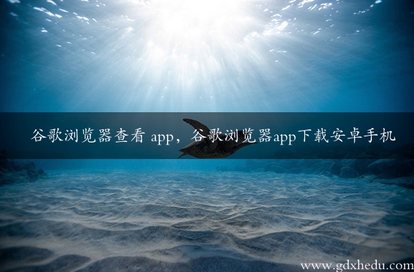 谷歌浏览器查看 app，谷歌浏览器app下载安卓手机