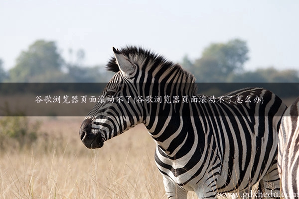 谷歌浏览器页面滚动不了(谷歌浏览器页面滚动不了怎么办)