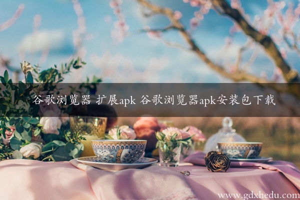 谷歌浏览器 扩展apk 谷歌浏览器apk安装包下载