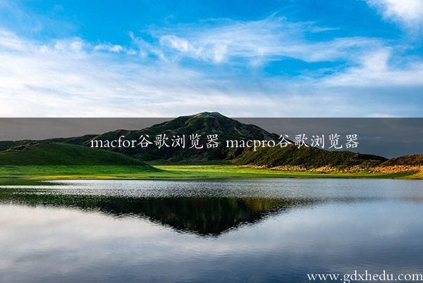 macfor谷歌浏览器 macpro谷歌浏览器