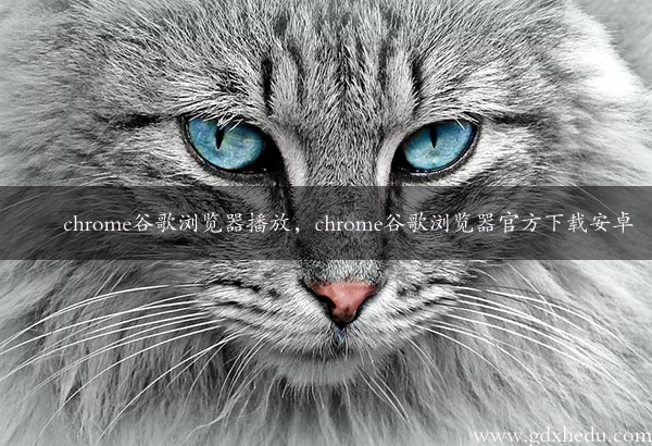 chrome谷歌浏览器播放，chrome谷歌浏览器官方下载安卓