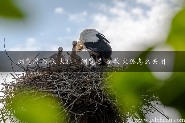 浏览器 谷歌 火狐？浏览器 谷歌 火狐怎么关闭