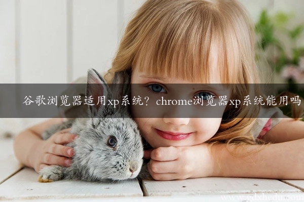 谷歌浏览器适用xp系统？chrome浏览器xp系统能用吗