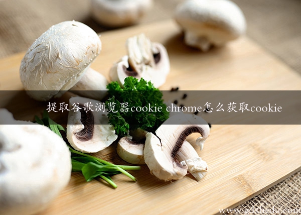 提取谷歌浏览器cookie chrome怎么获取cookie