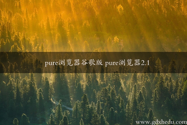 pure浏览器谷歌版 pure浏览器2.1