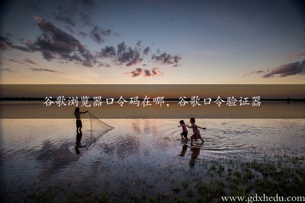 谷歌浏览器口令码在哪，谷歌口令验证器