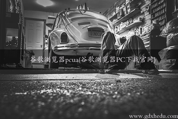 谷歌浏览器pcua(谷歌浏览器PC下载官网)