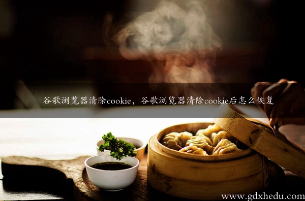 谷歌浏览器清除cookie，谷歌浏览器清除cookie后怎么恢复