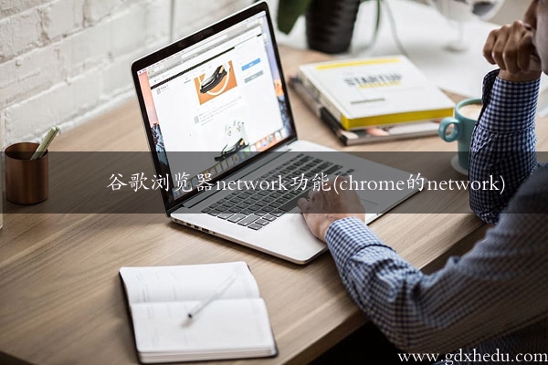 谷歌浏览器network功能(chrome的network)