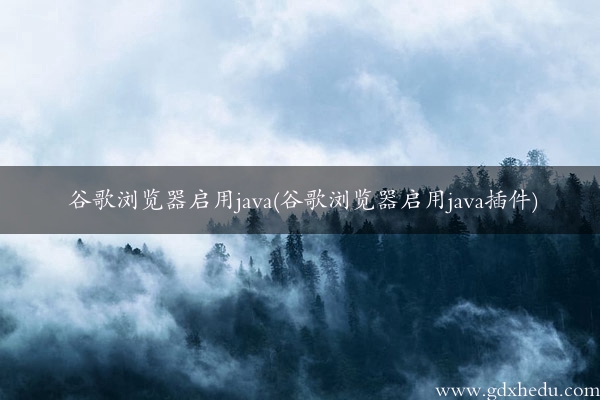 谷歌浏览器启用java(谷歌浏览器启用java插件)