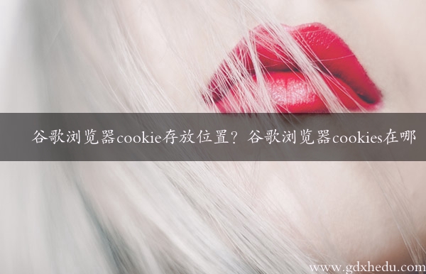 谷歌浏览器cookie存放位置？谷歌浏览器cookies在哪