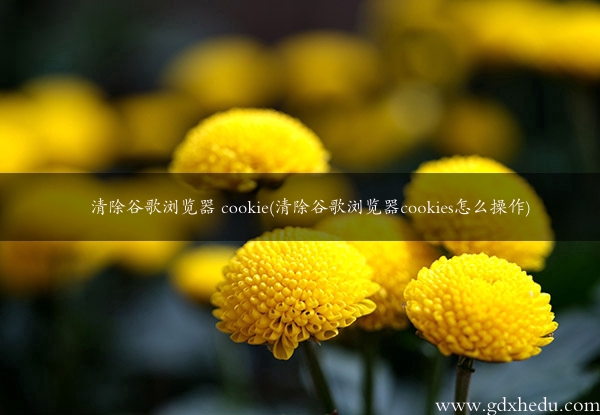 清除谷歌浏览器 cookie(清除谷歌浏览器cookies怎么操作)