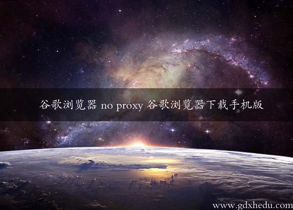 谷歌浏览器 no proxy 谷歌浏览器下载手机版