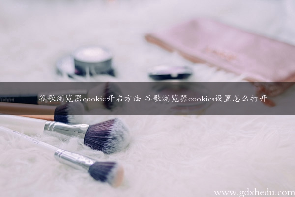 谷歌浏览器cookie开启方法 谷歌浏览器cookies设置怎么打开