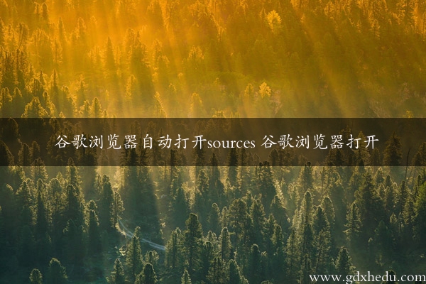 谷歌浏览器自动打开sources 谷歌浏览器打开