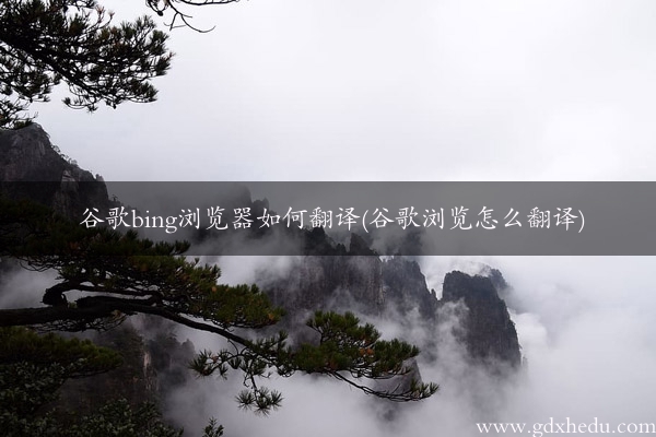 谷歌bing浏览器如何翻译(谷歌浏览怎么翻译)