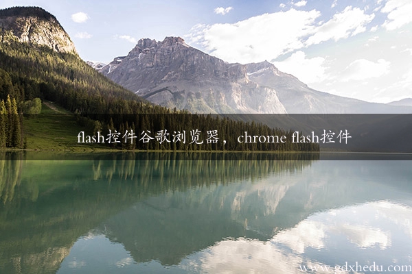 flash控件谷歌浏览器，chrome flash控件