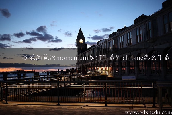 谷歌浏览器momentum如何下载？chrome怎么下载