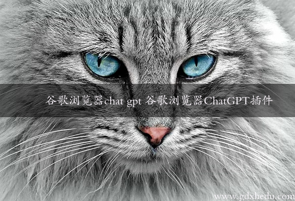 谷歌浏览器chat gpt 谷歌浏览器ChatGPT插件