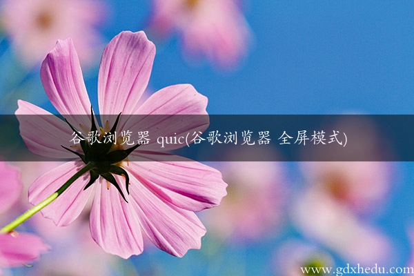 谷歌浏览器 quic(谷歌浏览器 全屏模式)