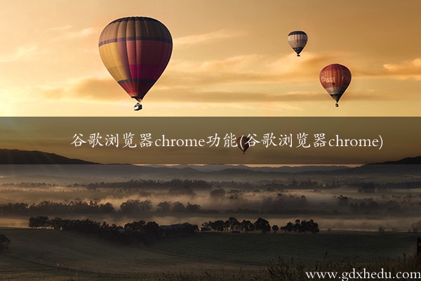 谷歌浏览器chrome功能(谷歌浏览器chrome)