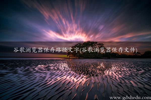 谷歌浏览器保存路径文字(谷歌浏览器保存文件)