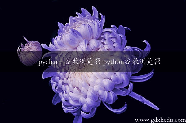 pycharm谷歌浏览器 python谷歌浏览器