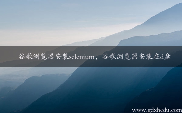 谷歌浏览器安装selenium，谷歌浏览器安装在d盘