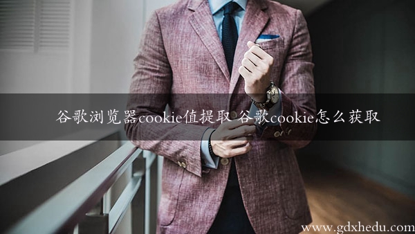 谷歌浏览器cookie值提取 谷歌cookie怎么获取