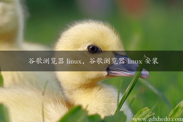 谷歌浏览器 linux，谷歌浏览器 linux 安装