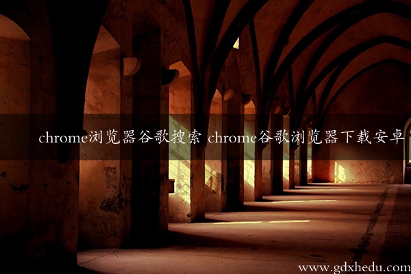 chrome浏览器谷歌搜索 chrome谷歌浏览器下载安卓