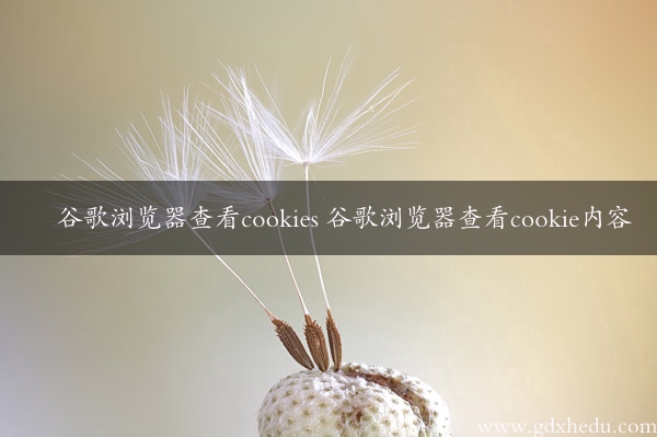 谷歌浏览器查看cookies 谷歌浏览器查看cookie内容