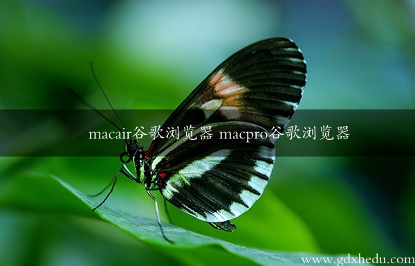 macair谷歌浏览器 macpro谷歌浏览器