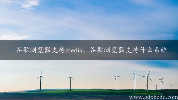 谷歌浏览器支持media，谷歌浏览器支持什么系统