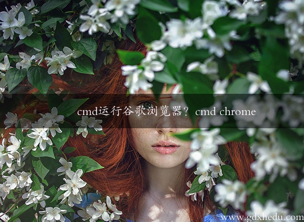 cmd运行谷歌浏览器？cmd chrome