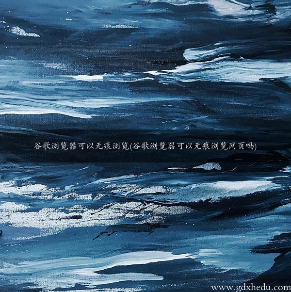 谷歌浏览器可以无痕浏览(谷歌浏览器可以无痕浏览网页吗)