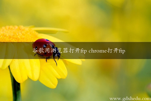 谷歌用浏览器打开ftp chrome打开ftp