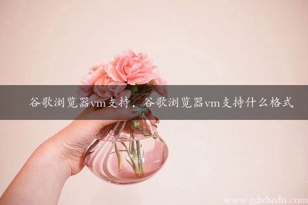 谷歌浏览器vm支持，谷歌浏览器vm支持什么格式