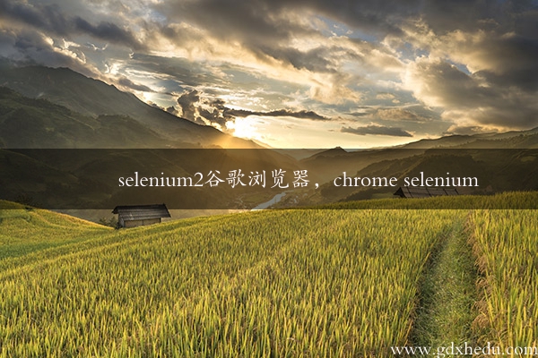 selenium2谷歌浏览器，chrome selenium