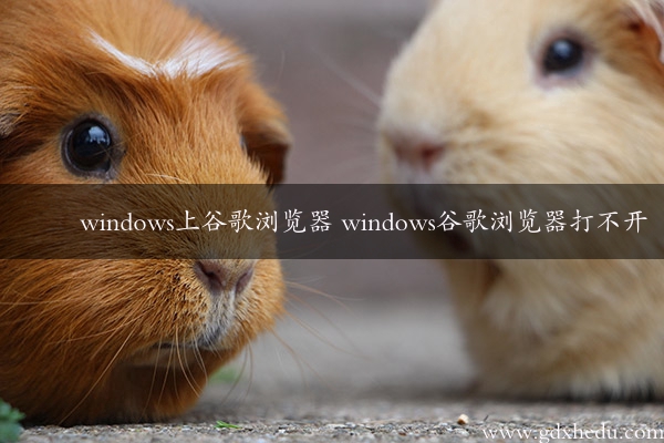 windows上谷歌浏览器 windows谷歌浏览器打不开