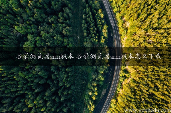 谷歌浏览器arm版本 谷歌浏览器arm版本怎么下载