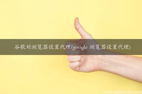 谷歌刘浏览器设置代理(google 浏览器设置代理)