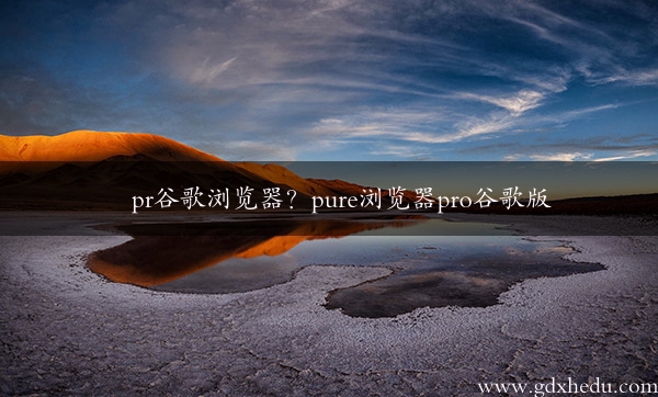 pr谷歌浏览器？pure浏览器pro谷歌版