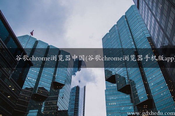 谷歌chrome浏览器中国(谷歌chrome浏览器手机版app)