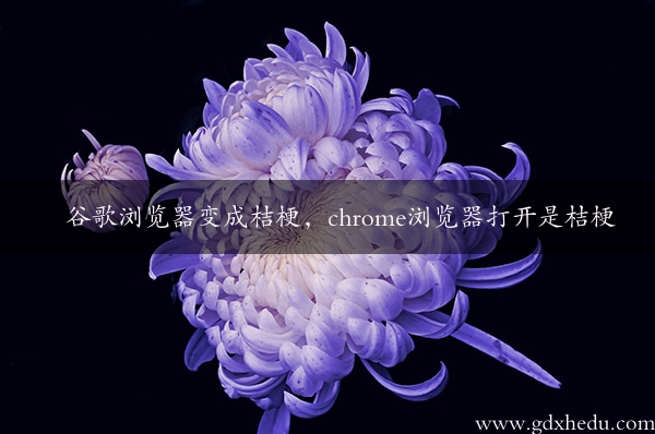 谷歌浏览器变成桔梗，chrome浏览器打开是桔梗