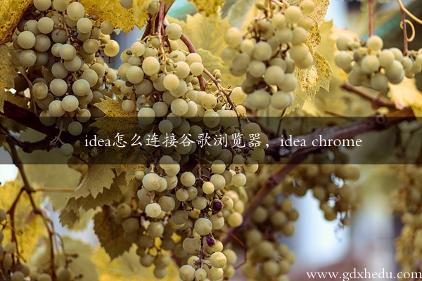 idea怎么连接谷歌浏览器，idea chrome